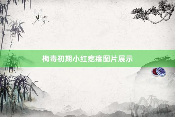 梅毒初期小红疙瘩图片展示