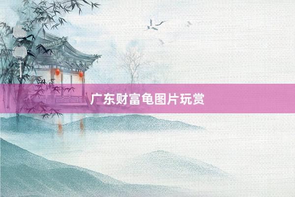 广东财富龟图片玩赏